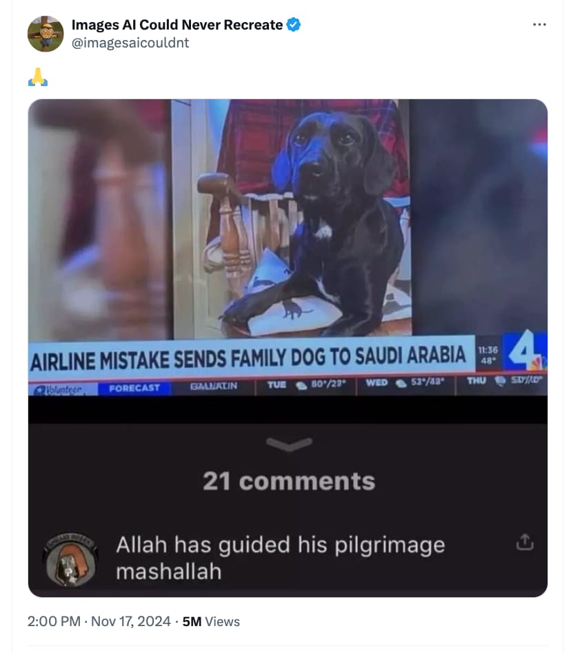 Internet meme - Images Al Could Never Recreate Airline Mistake Sends Family Dog To Saudi Arabia 48 4 Volunteer Forecast Galnatin Tue 5023 Wed 5342 Thu Styyd 21 Allah has guided his pilgrimage mashallah . 5M Views